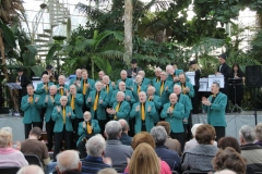 One of our Palm House performances